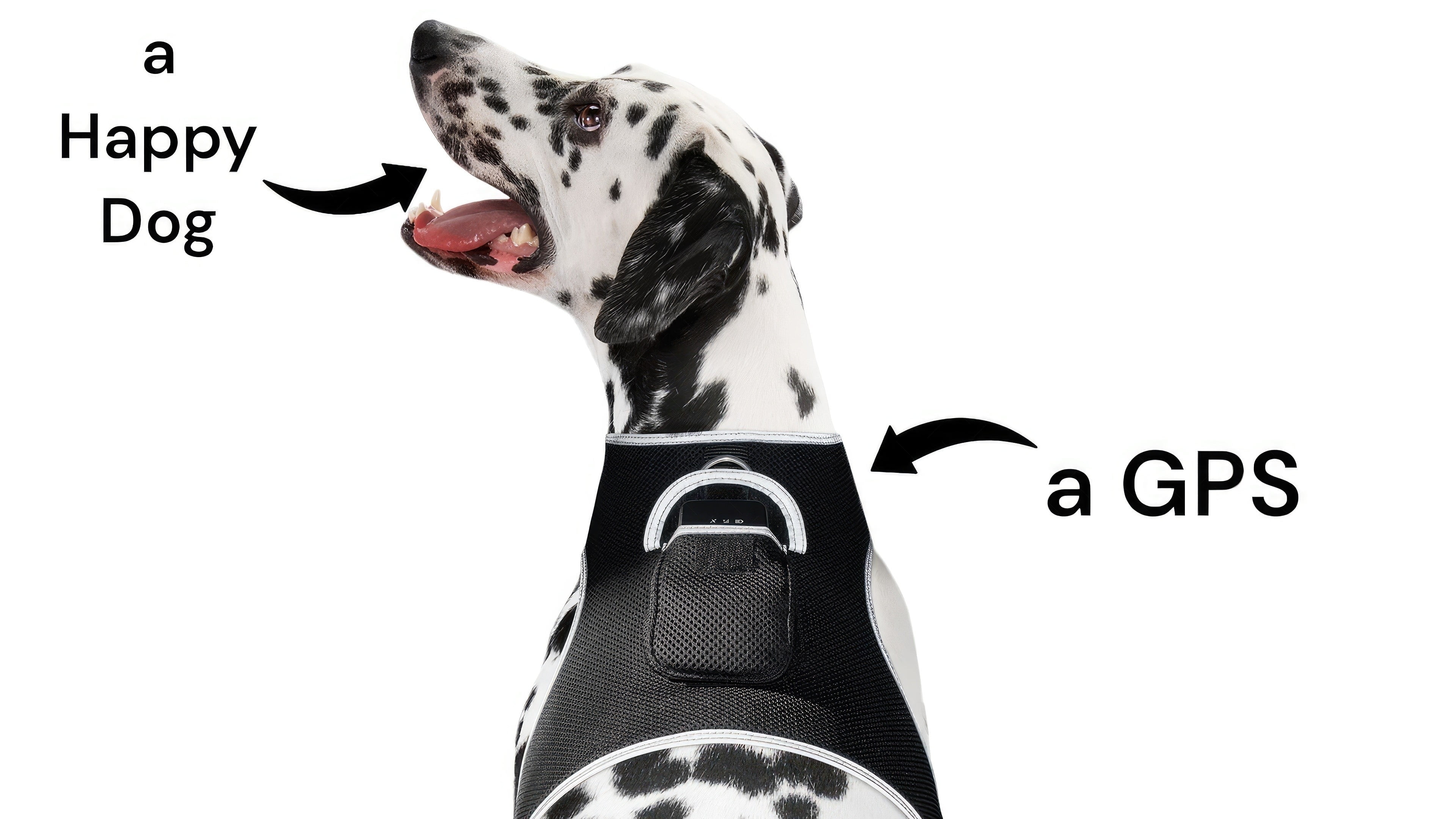 Wireless GSM GPS Dog Tracking Systems Waterproof Realtime Pet Locator Size:S