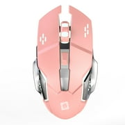 Wireless Gaming Mouse,Rechargeable Computer Mouse Mice with Colorful LED Lights,Silent Click,2.4G USB Nano Receiver,4 Level DPI 1200/1600/2400/3200 Mouse for PC Gamer Laptop Desktop Mac,Pink
