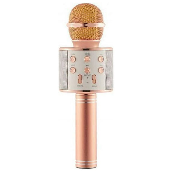 Wireless Handheld Mike KTV Karaoke Stereo USB Player Bluetooth Easytake