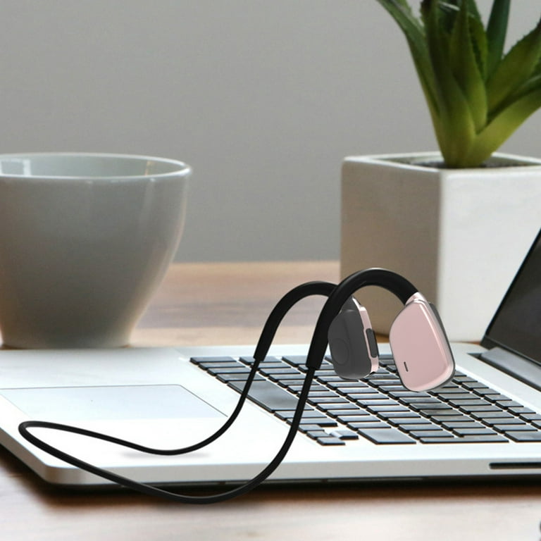 Earplugs for computer top