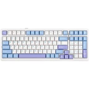 Wireless Mechanical Keyboard with Hot Swappable Switches Gasket Mounted 96% Layout Five-Layer Padding Bluetooth 2.4GHz USB-C 8000mAh Battery Graywood V3 Switch White Light Blue