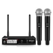 Wireless Microphone System D Debra Audio VM302 with Handheld Mic Have XLR Interface, 260 ft Range, for Home Karaoke Wedding Conference Speech