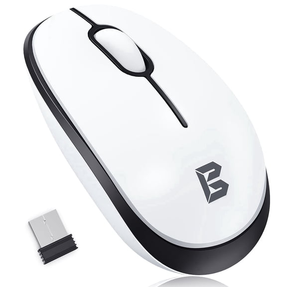 2.4G Wireless Silent Optical Mouse, Plug & Play Ergonomic, Nano USB Receiver, for PC Laptop Mac Chromebook Windows Mac
