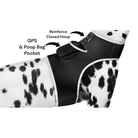 Wireless Pet Monitor Pet Tracker GPS Dog Tracker Waterproof + Realtime App Size:XL