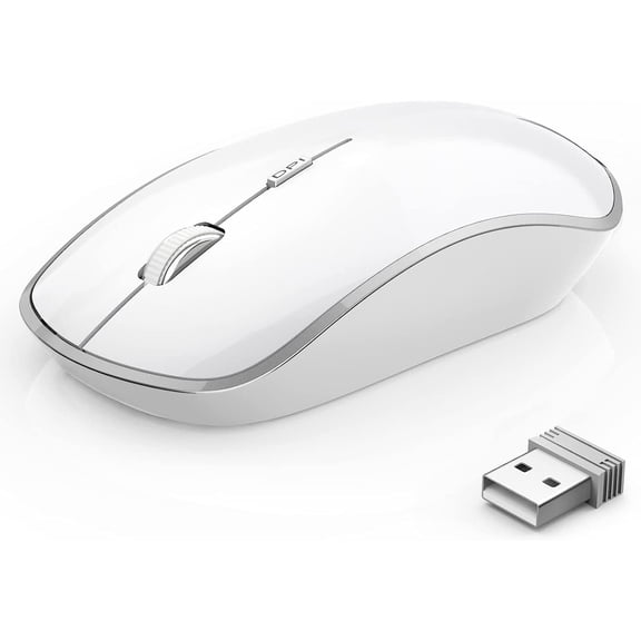 Wireless Portable Computer Mouse with 5 Adjustable DPI Levels Mute for Notebook Computers MacBook And PCs