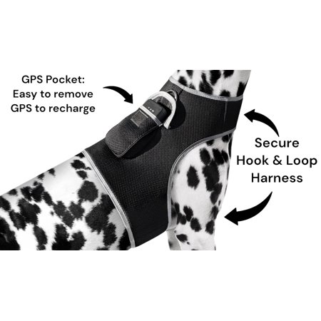 Wireless Portable GPS Cell Phone Pet Tracker Realtime Tracking Device Size:XS