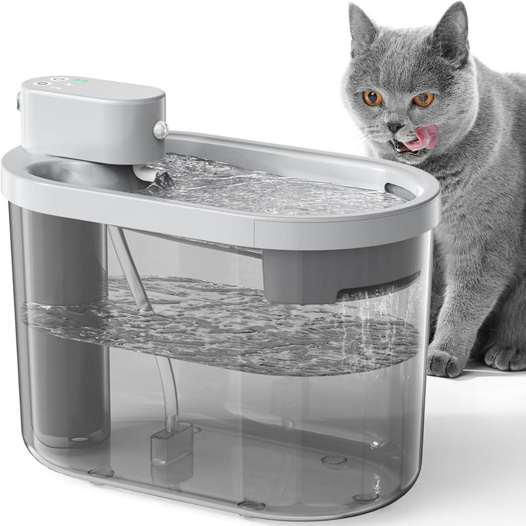 Cat drinking fountain walmart online