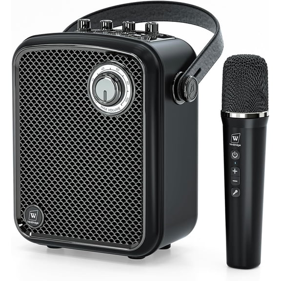 HW HAOWORKS Wireless Voice Amplifier Portable PA Speaker System Karaoke Machine S100 70W Bluetooth 5.3 1-Pack