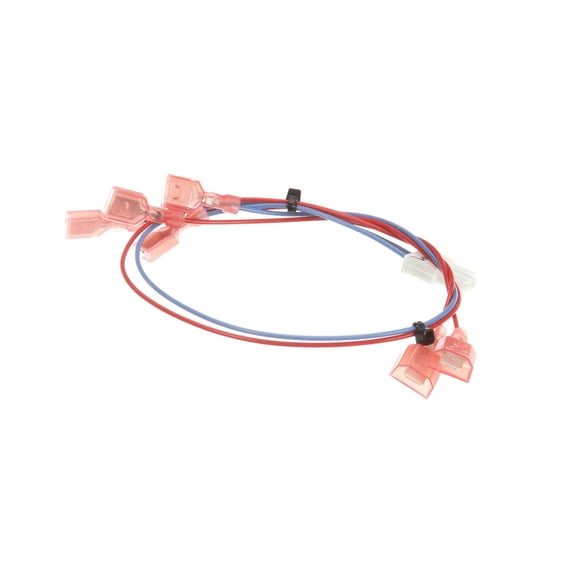 Bunn Wiring Harness, Door (Lamp) 28336.0000 - Genuine OEM Replacement Part