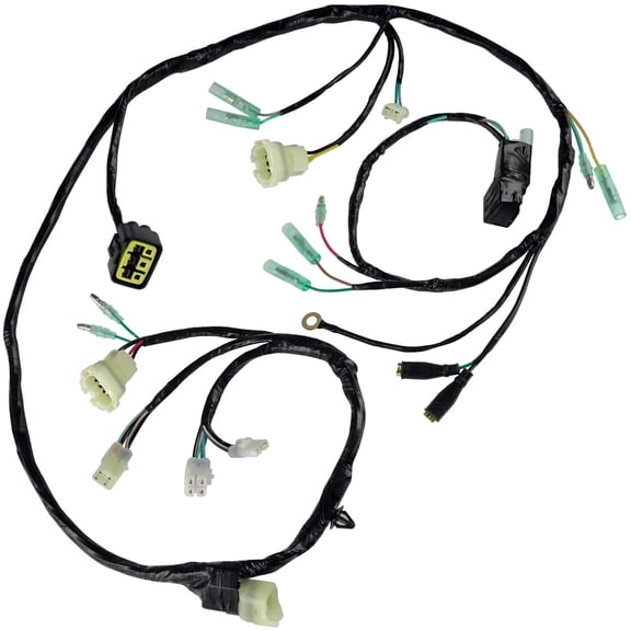 Wiring Harness For Honda Sportrax 250 TRX250EX 2X4 2001-2005 New
