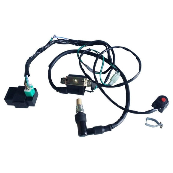Wiring Harness On Off Switch Coil Spark Plug For 110cc 125cc 140cc SSR Pit Bike