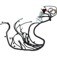 Wiring Harness Swap, LS Swap Standalone Wiring Harness Drive By Wire