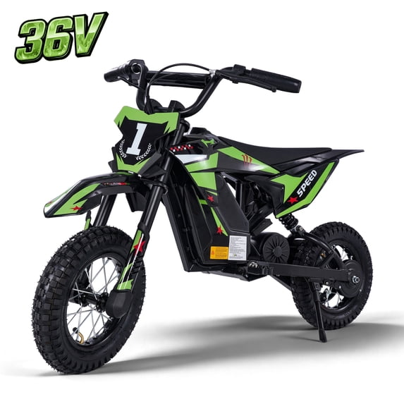 Wisairt 36V Kids Electric Dirt Bike for Kids Aged 6-10, Green