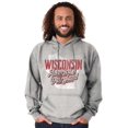 thumbnail image 1 of Wisconsin America Dairyland Map Shape Unisex Plus Fleece Graphic Hoodie Brisco Brands 2X, 1 of 3