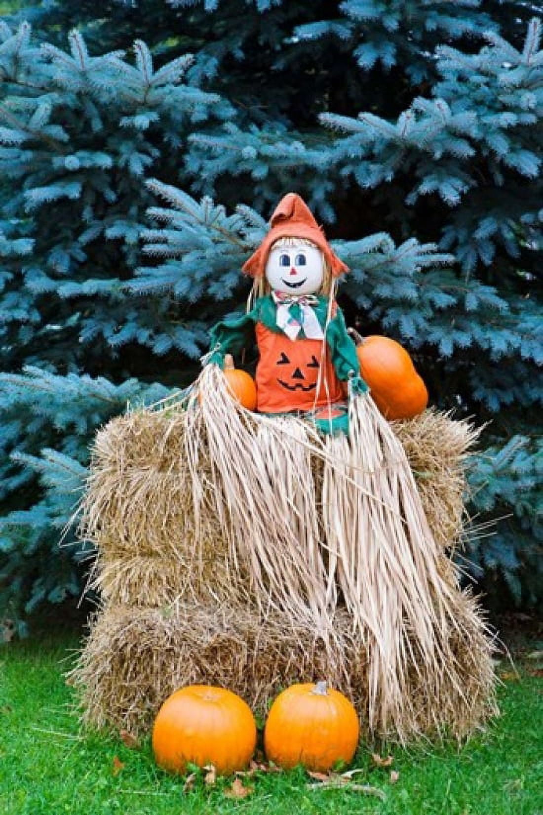 Wisconsin Autumn haystack Halloween decorations Canvas Art - Jaynes Gallery DanitaDelimont (18 x 26)