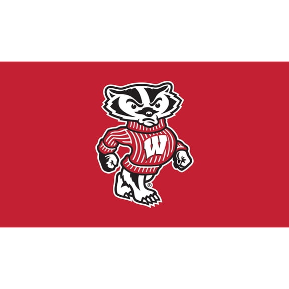 Wisconsin Badgers 28" x 16" Turf Mat