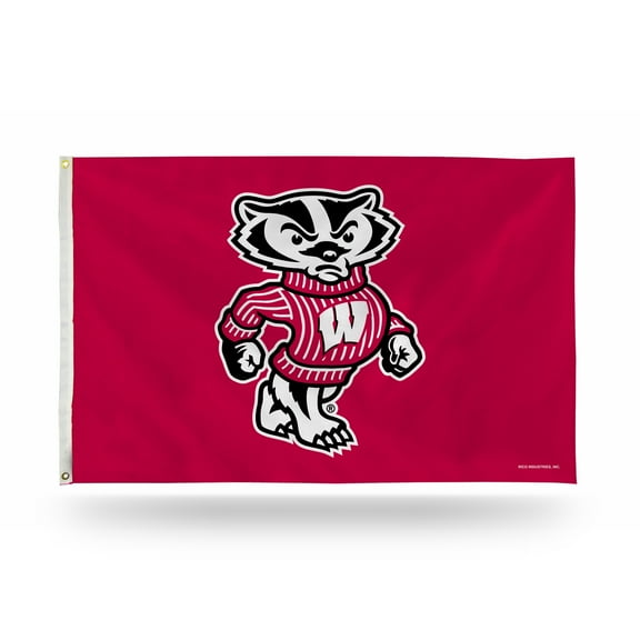 Wisconsin 3 X 5 Banner Flag