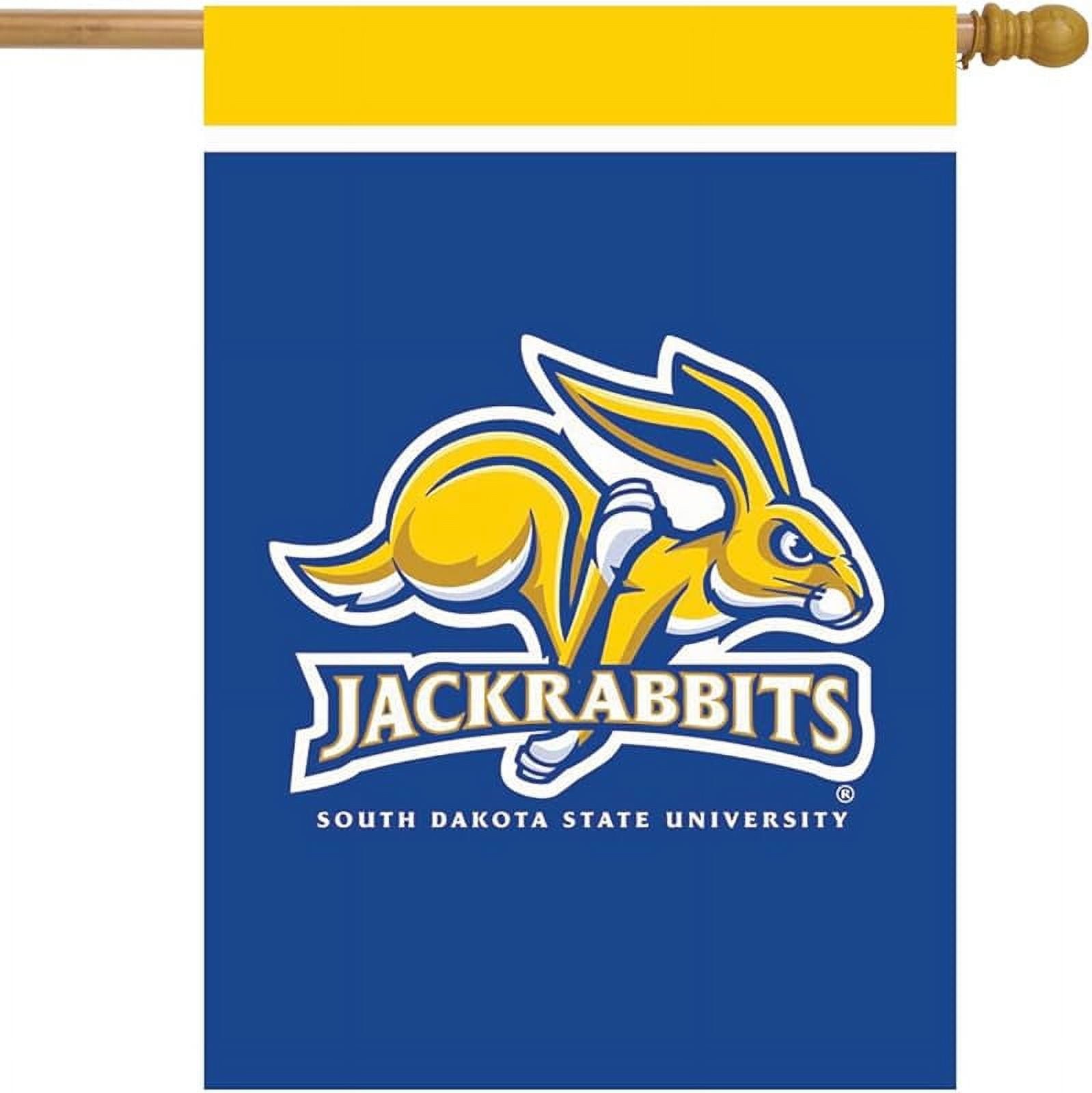 Wisconsin Badgers Ncaa Licensed House Flag 40" x 28" Briarwood Lane