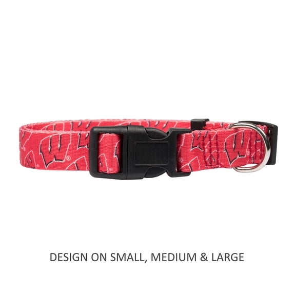 Wisconsin Badgers Pet Nylon Collar - Small