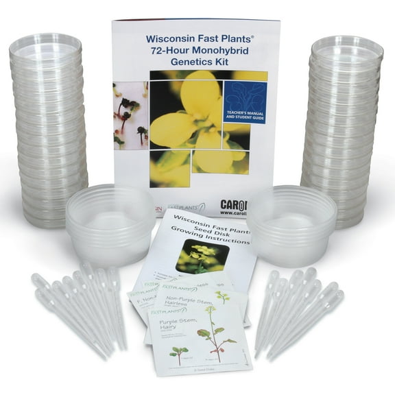 Wisconsin Fast Plants 72-Hour Monohybrid Genetics Kit, 8 Lab Group Kit