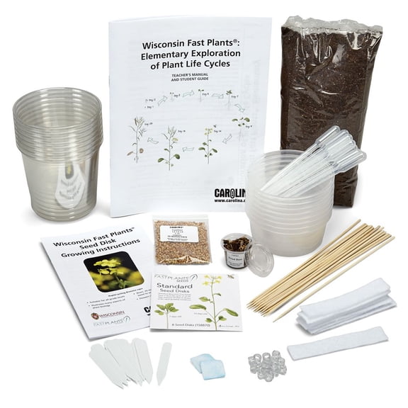 Wisconsin Fast Plants Elementary Exploration of Plant Life Cycles Kit