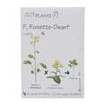 thumbnail image 1 of Wisconsin Fast Plants F1 Rosette-Dwarf, Non-Purple Stem Seed (F1 Rosette, Anthocyaninless), Pack Of 200, 1 of 1