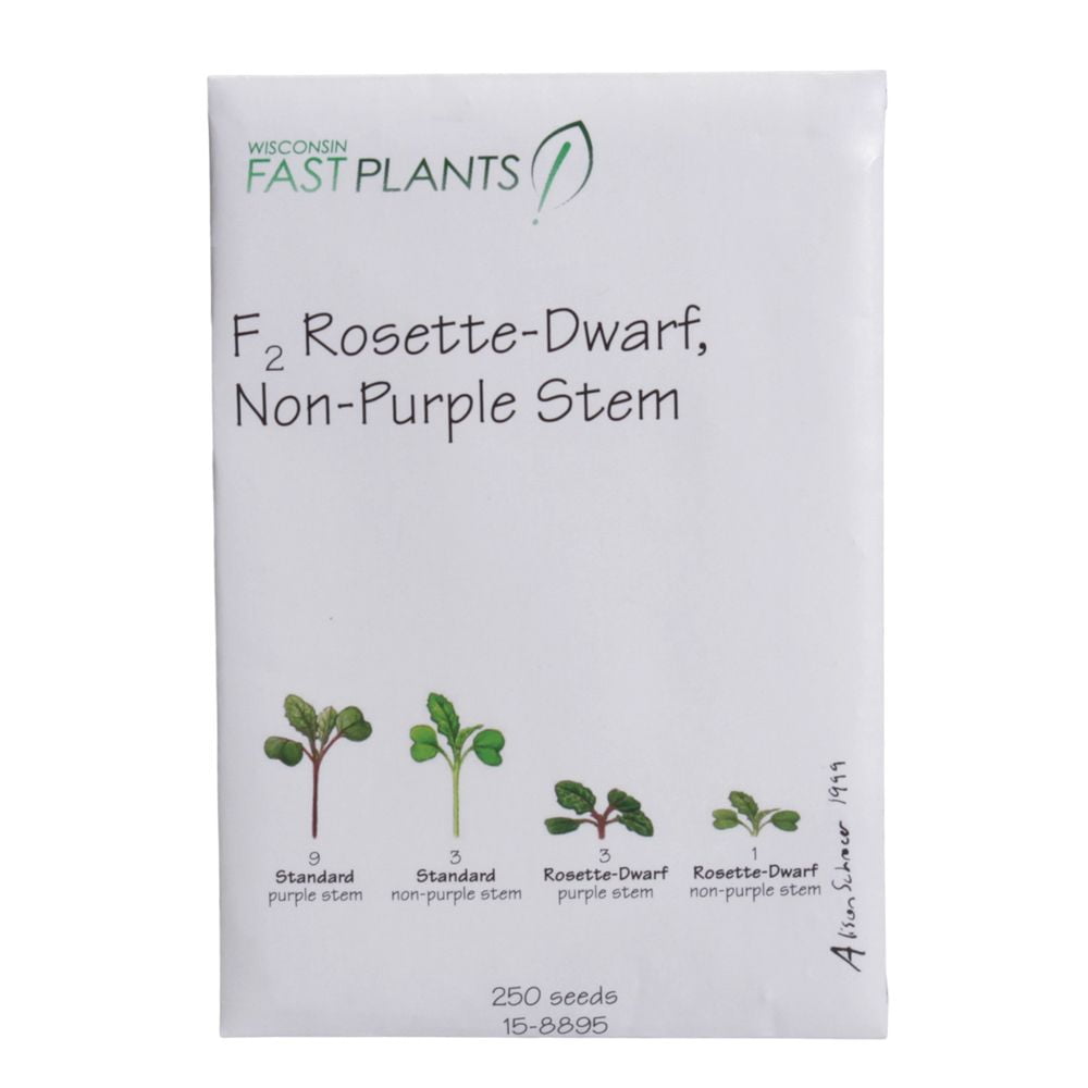 Wisconsin Fast Plants F2 Rosette-Dwarf, Non-Purple Stem Seed (F2 Rosette, Anthocyaninless), Pack Of 250