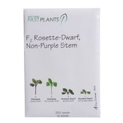 Wisconsin Fast Plants  F 2 Rosette-Dwarf, Non-Purple Stem Seed F 2 Rosette, Anthocyaninless, Pack of 250