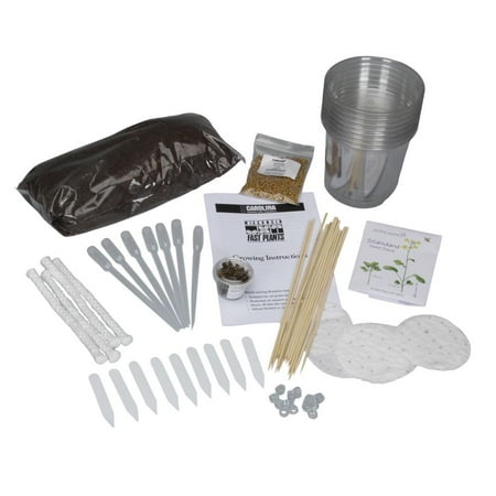Wisconsin Fast Plants® Independent Research Kit, Materials For 4 Watering Stations