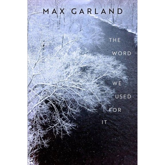 Wisconsin Poetry Series: The Word We Used For It (Paperback)