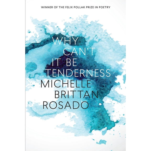 Wisconsin Poetry Series: Why Can't It Be Tenderness (Paperback)