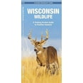 thumbnail image 1 of Wisconsin Wildlife, 1 of 1