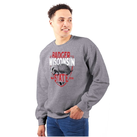 Wisconsin Wispy Pride Cool Athletic Sweatshirt for Men or Women Brisco Brands L