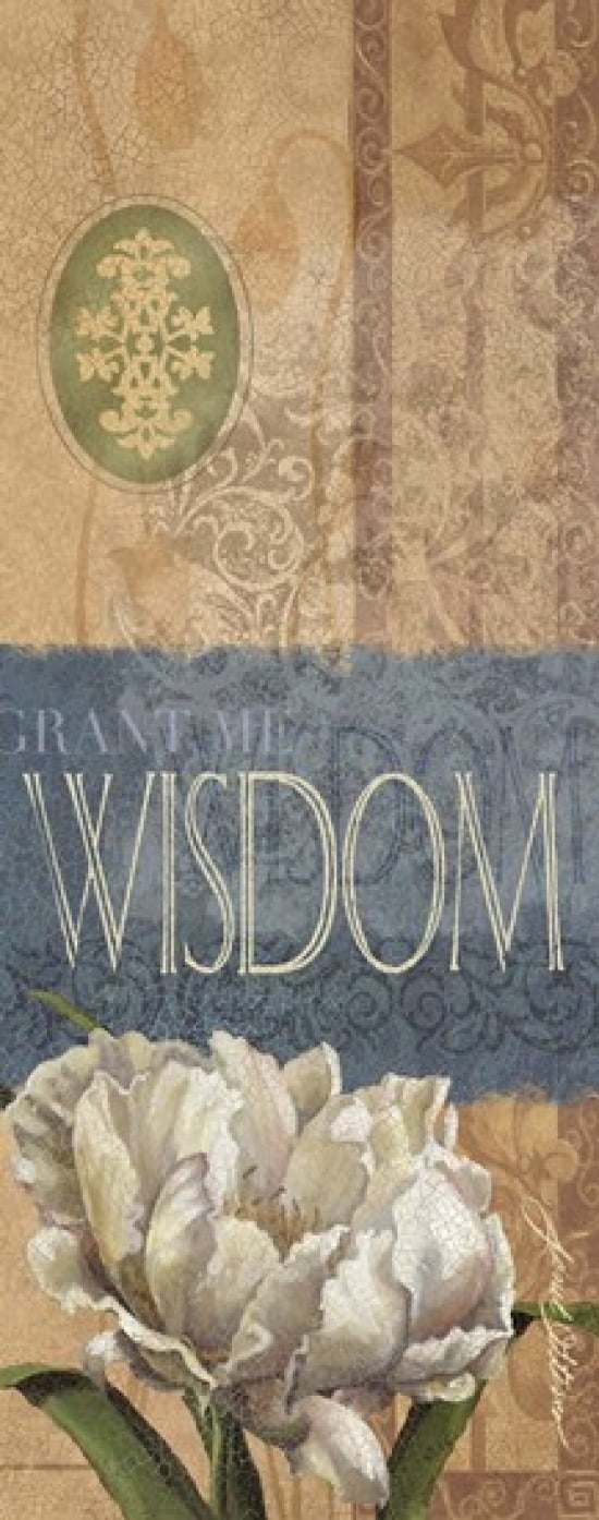 Wisdom Canvas Art - Janet Stever (8 x 20)