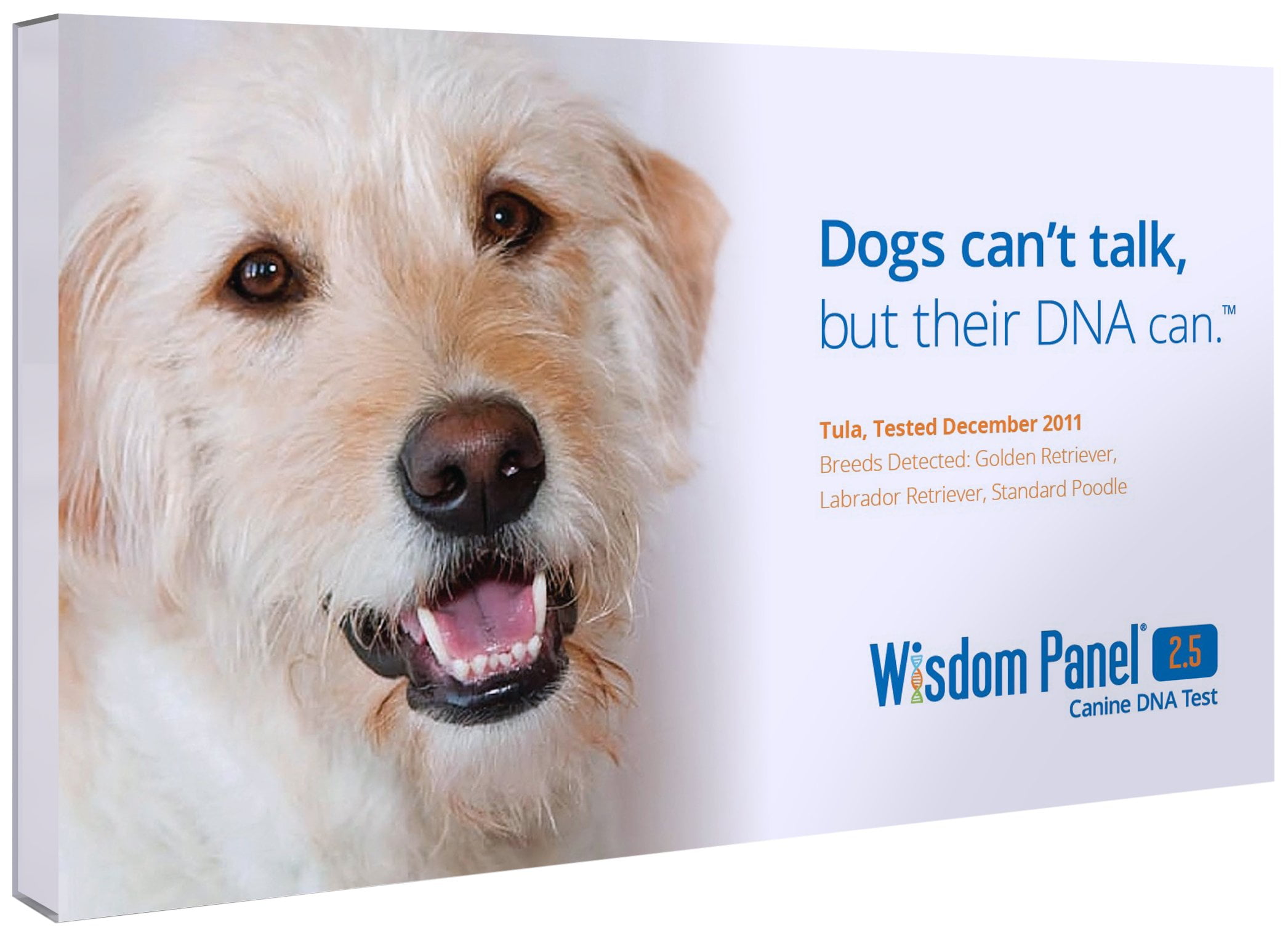 Wisdom clearance panel 2.5