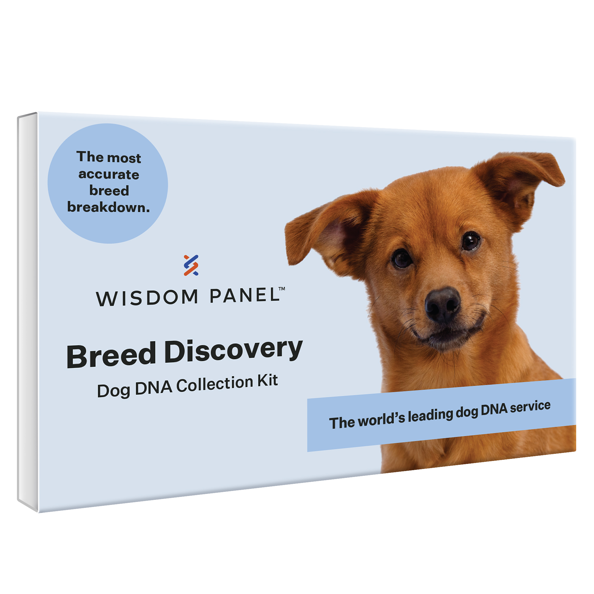Wisdom Panel Breed Discovery, Breed Identification, Dog DNA Test Kit - image 1 of 8
