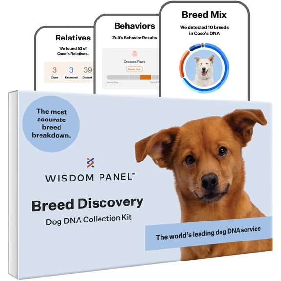 Wisdom Panel Breed Discovery Dog DNA Testing Kit, Most Accurate Dog Breed Identification, Test for 430+ Breeds, MDR1 Health Test, Ancestry, Relatives