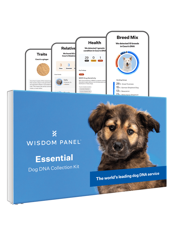 Wisdom Panel Essential, Breed Identification & Health Condition Identification, Dog DNA Test Kit