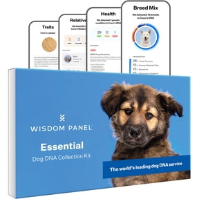 Wisdom Panel Essential Dog DNA Testing Kit, Most Accurate Test, 430+ Dog Breeds, 30 Genetic Health Conditions, 50+ Traits, Relatives, Ancestry, 1 Pack