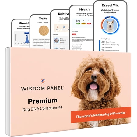 Wisdom Panel Premium Dog DNA Testing Kit - Most Comprehensive Test - 265+ Health Tests, 430+ Dog Breeds, 50+ Traits, Relatives, Ancestry, 1 Pack