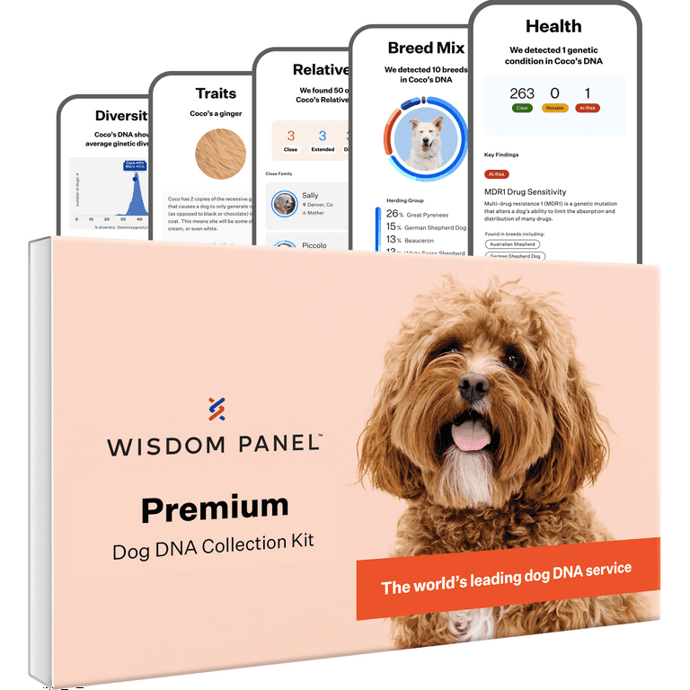 Canine dna test kit sales