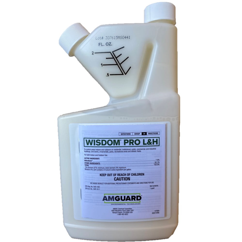 Wisdom Pro L&H
