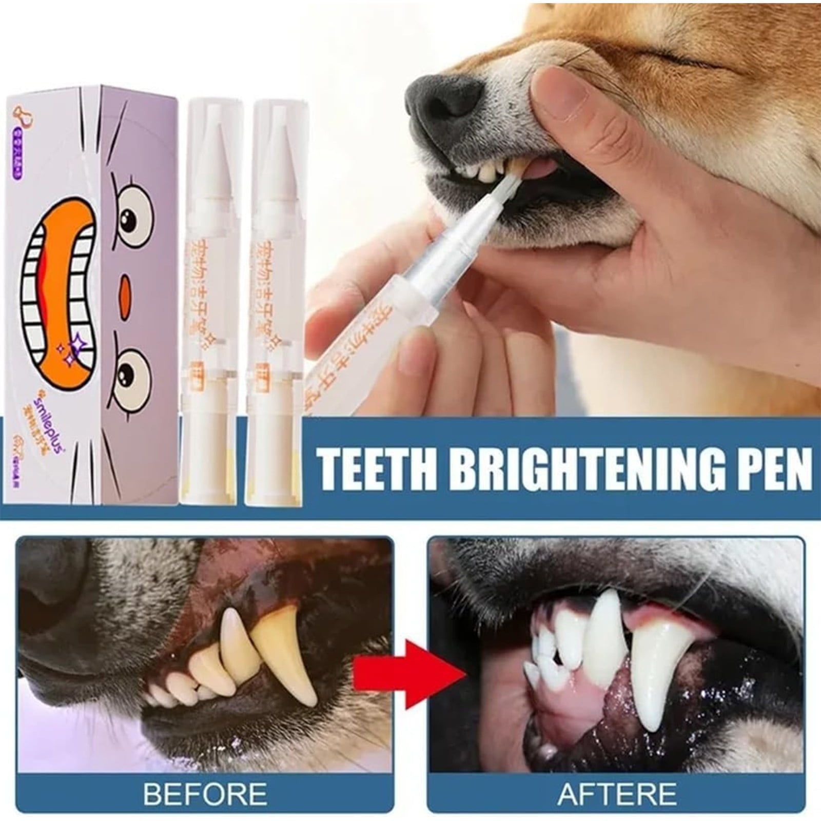 Wisdom Teeth Natural Stone Spray Tanners Tasty Paste Travel Water Pick