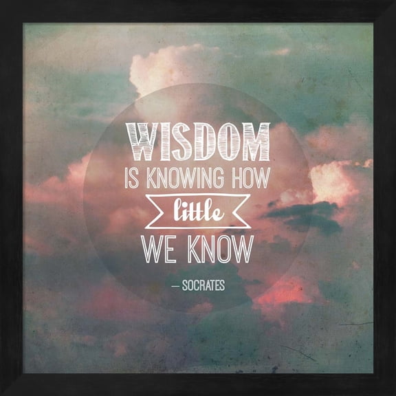 Wisdom is Knowing How Little We Know - Pink Clouds by Quote Master, Framed Wall Art, 13.25W x 13.25H