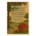 thumbnail image 1 of Wisdom is the fruit of experience, not the lessons of retirement and leisure - Abigail Adams Poster - 18 inch x 12 inch, 1 of 3