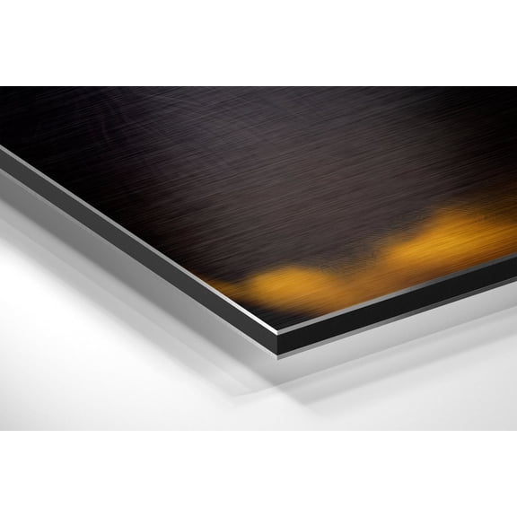 Wise Monkey Brushed Aluminum Dibond Wall Art