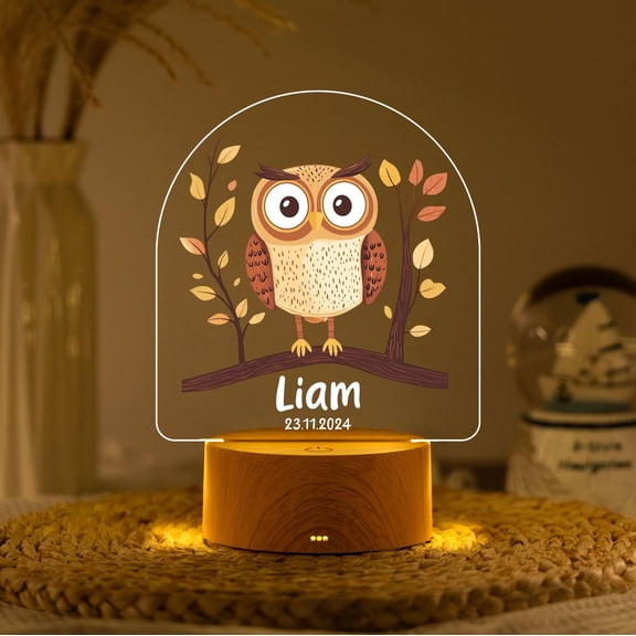 Wise Owl Custom Name Night Light Acrylic Bird Desk Lamp Library Reading Room Decor Gift For Book Lovers