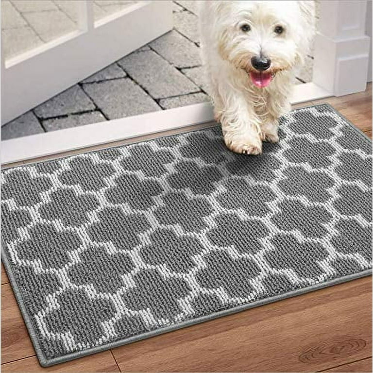 WISELIFE Door Mat Indoor Outdoor Floor Mat,20 inchx32 inch, Non-Slip Absorbent Front Back Doormat Entryway Rugs, Low Profile Resist Dirt Door Mats for