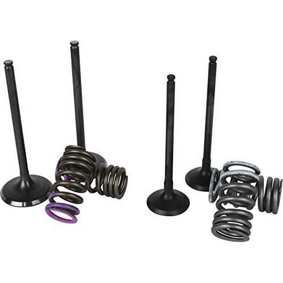 Wiseco SVKB4341 Garage Buddy replacement valve Set
