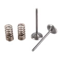 thumbnail image 1 of Wiseco Steel Intake Valve Kit, 1 of 2